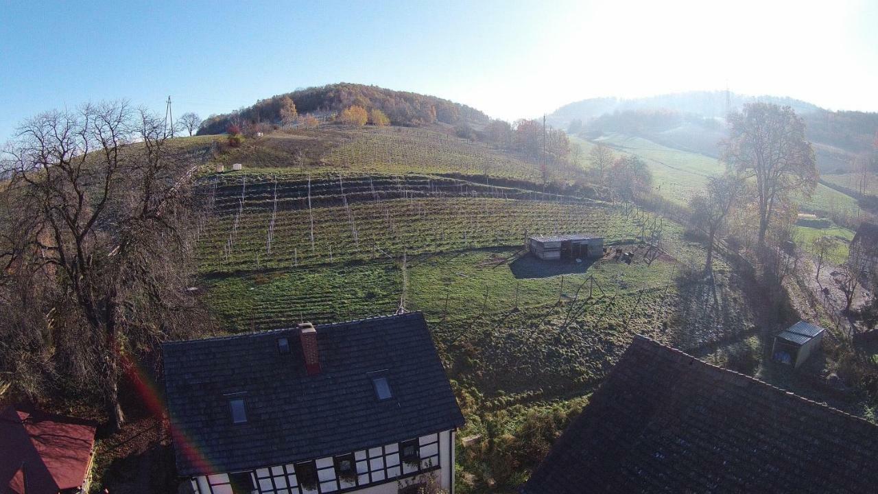 Winnica Agat Świerzawa Zewnętrze zdjęcie