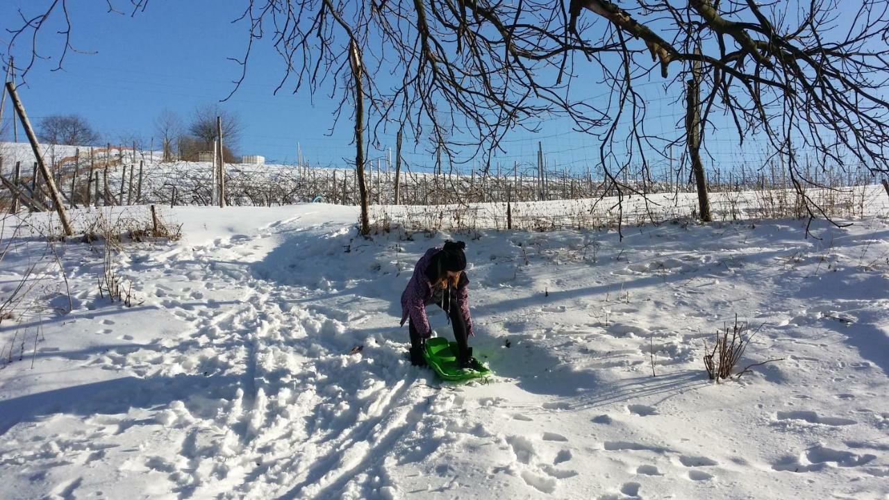 Winnica Agat Świerzawa Zewnętrze zdjęcie