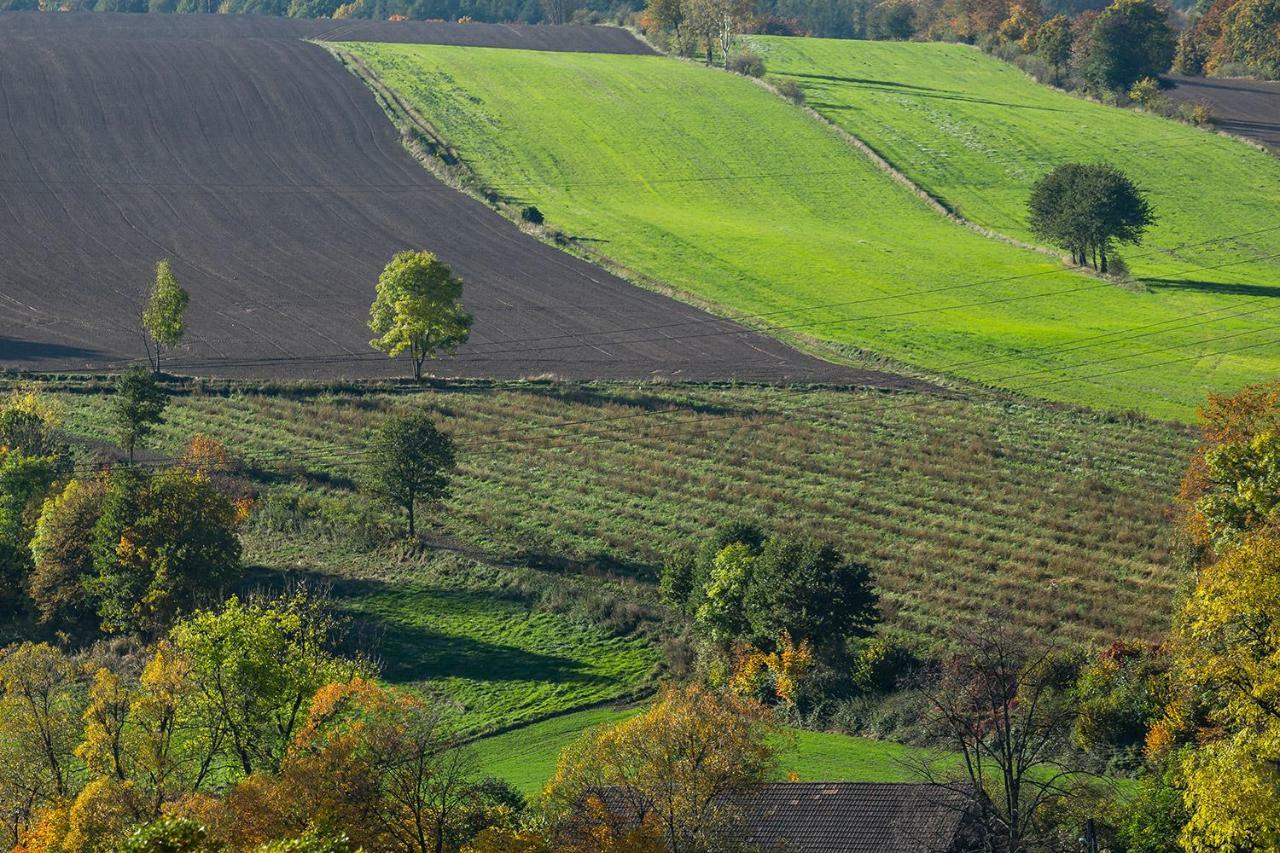 Winnica Agat Świerzawa Zewnętrze zdjęcie
